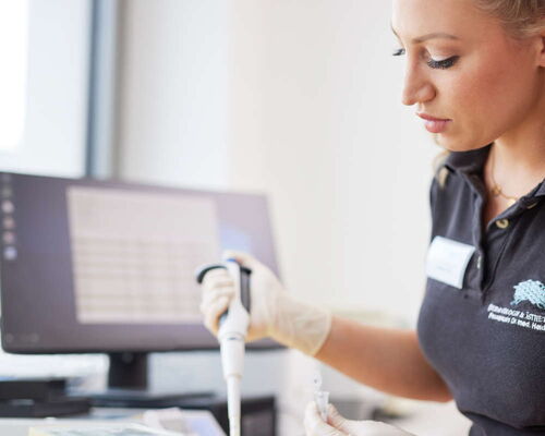 Im mykologischem Labor für Diagnose von Pilzinfektionen bereitet eine Medizinische Fachangestellte Proben für eine klassische Pilz-Diagnostik unter einem Mikroskop vor. Im Hintergrund steht ein Gerät, das das effektivere PCR-Verfahren unterstützt.